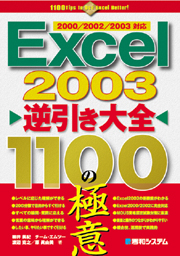 Excel1100